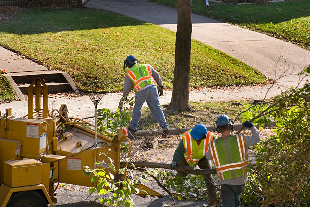 Mulching Services in Leisure City, FL